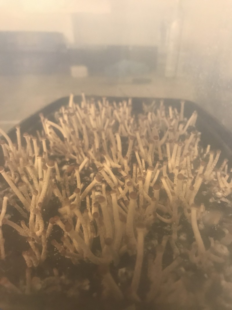 5DB00814-42DD-4615-B14F-4FA3CC399685