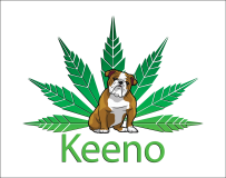 Keeno Logo_Final_Transp Version-02