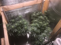 5FBBD224-18C9-46FC-AACE-0C6DA1376EFE