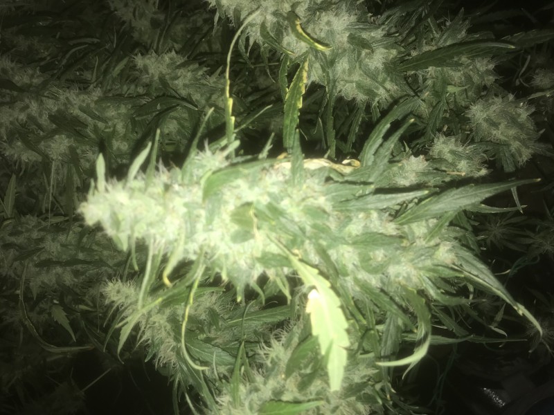 4D6F2F70-5367-42E4-9AA1-6918679A358E