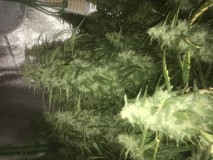 456EA0C4-2E0D-4391-8E13-764D8C25FD32