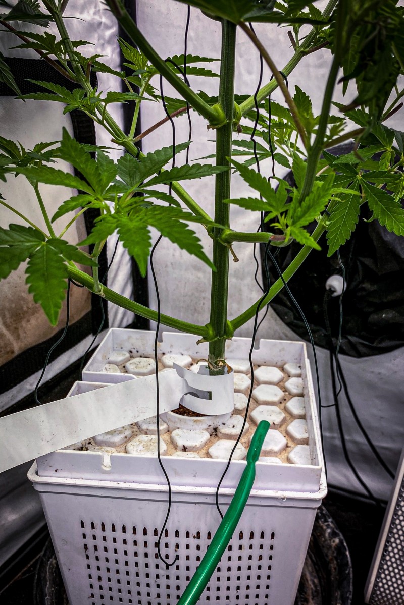 655B275E-5F2B-4E53-BBF6-CBAEFDE23607