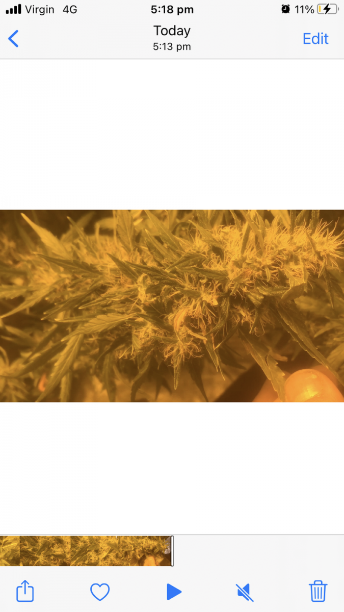 0F7B682B-E523-4E95-BBBC-01053158F15B