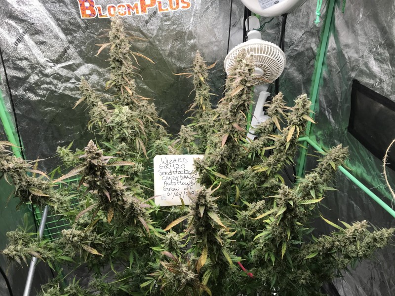 1A37769A-09C5-4ED5-97C3-C17C8FB504AD