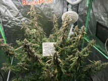 59B6A34A-38A1-4393-8860-79159E3911A8