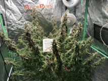 BF1D0FBC-62CE-4C4B-A0C6-962E2EDC7E7E