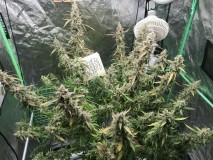 DABF21C8-DE16-434B-8D1C-749FC39CCF3F