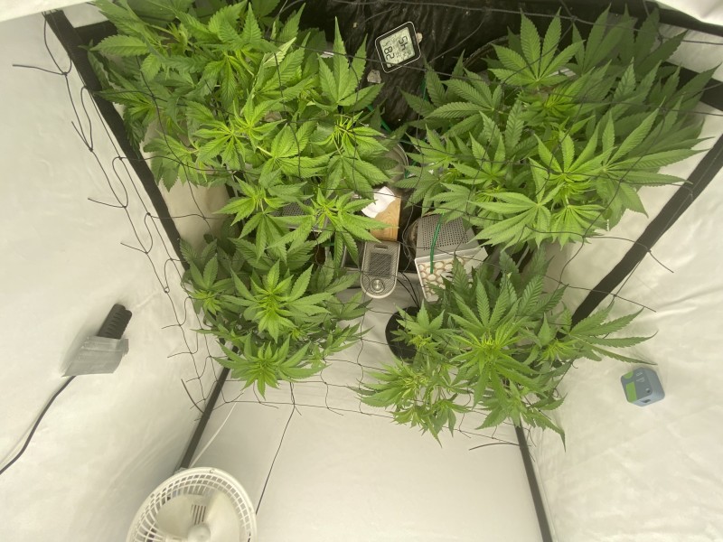 CC02981A-1DB6-423C-9088-B133A643CD6C