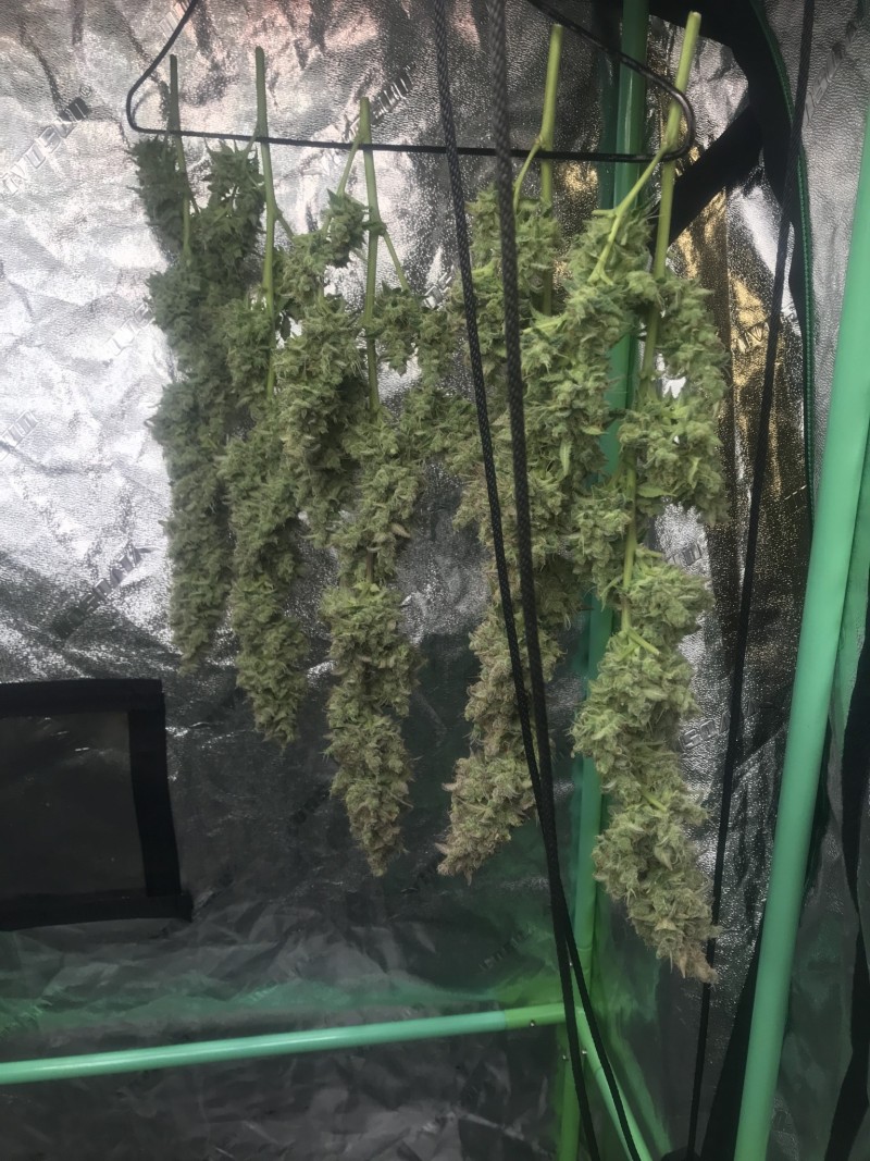 7BEE968F-0705-42AC-891F-9ADC4ED121B5