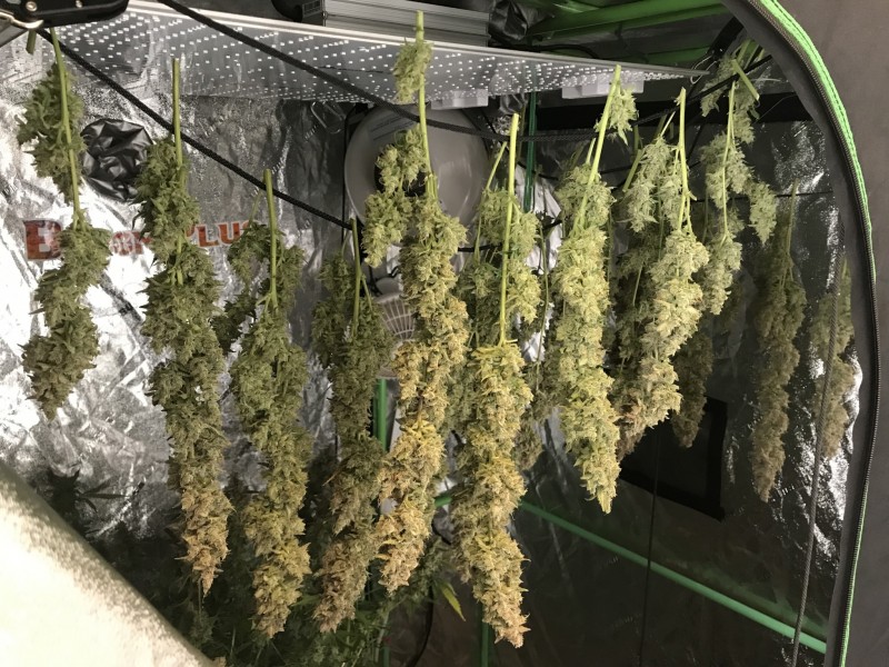 271CE637-50D5-4923-9F0C-40322CB60815