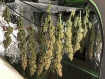 271CE637-50D5-4923-9F0C-40322CB60815