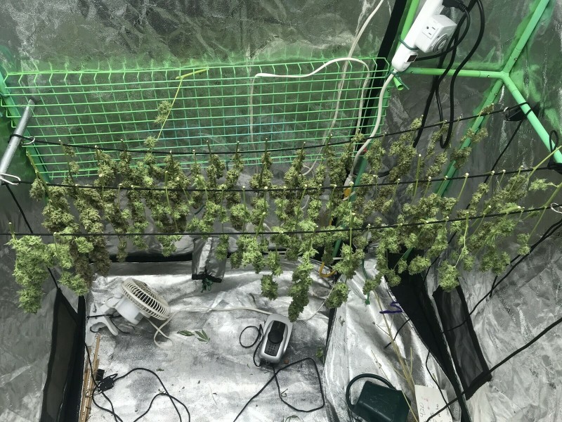 66DFFF22-F460-4DFE-8117-E0847B676D3E