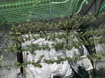 1282D761-FA0F-4831-AE03-5FD4B348ADB9