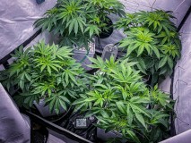 B577B933-664A-4990-B4EC-F85931DC6967