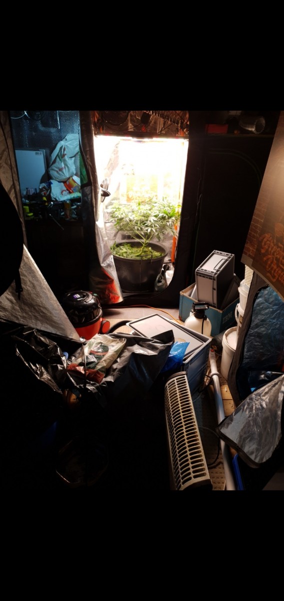 Screenshot_20220127-212131_Gallery