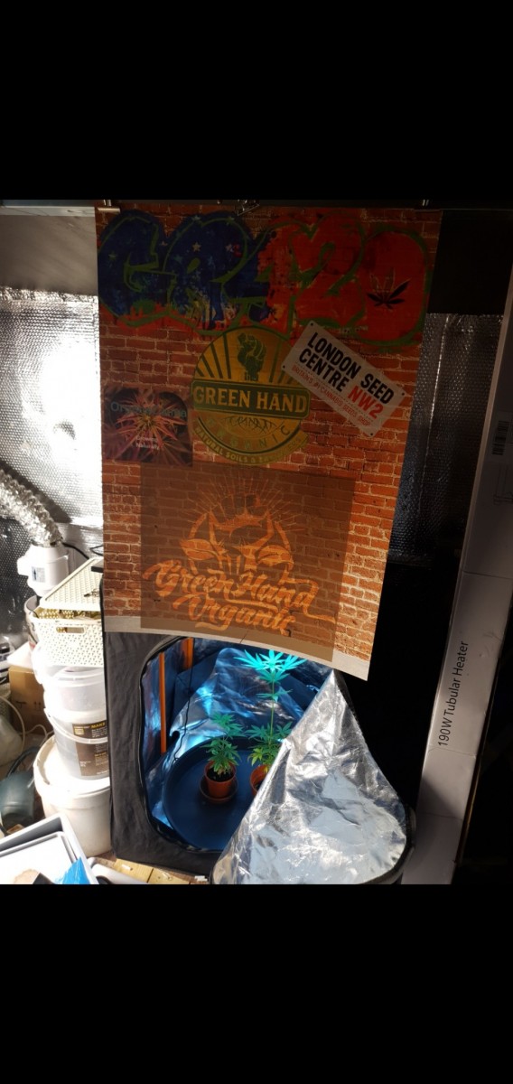 Screenshot_20220127-212112_Gallery