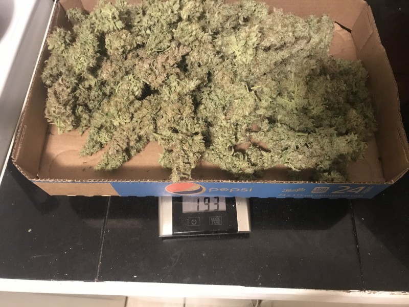 097076D7-B3D2-4B42-893C-FB7740B59B25