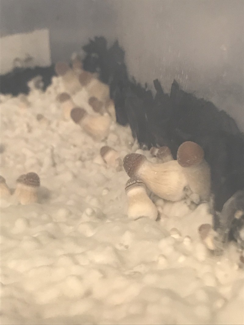 B8420D91-4B71-42B0-AF80-AE7B8828C09E