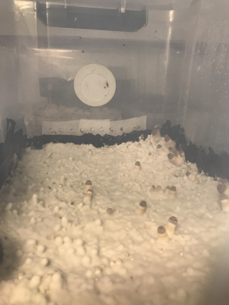 111DF0D8-02C0-4736-99E4-83AA0EA36387