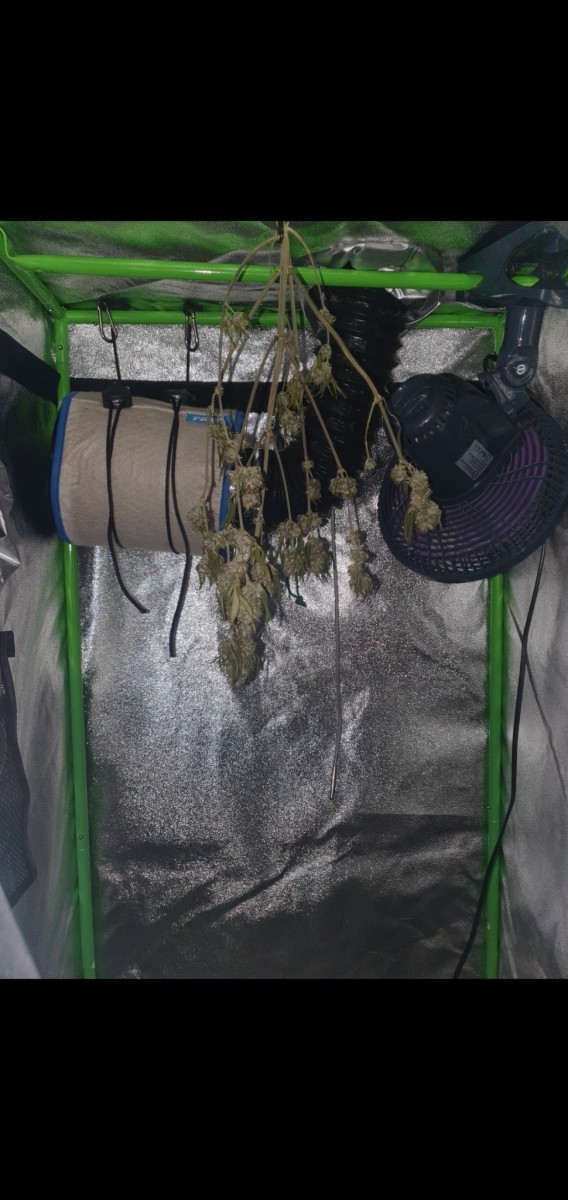 Screenshot_20220129-163739_Gallery