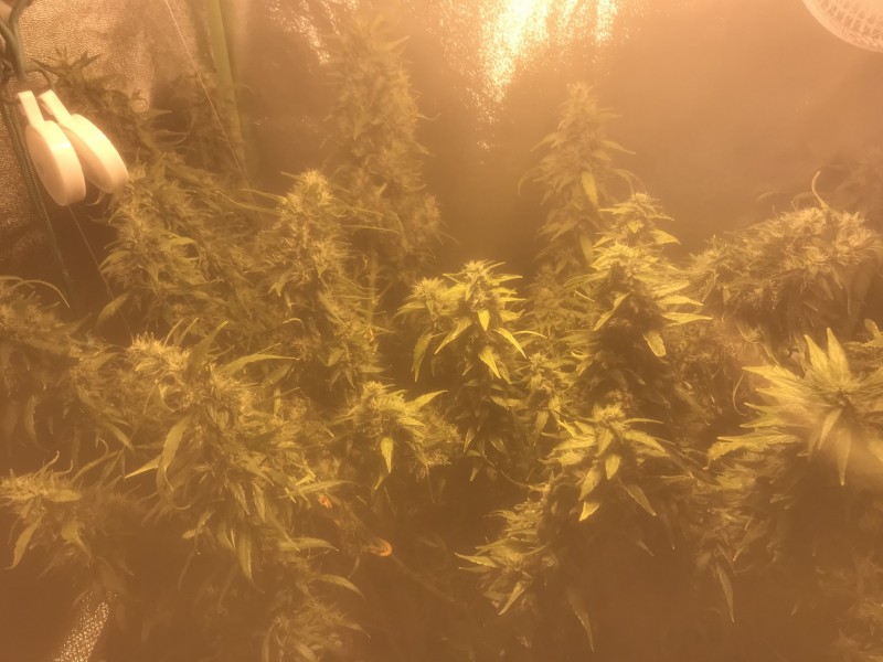 4C13AFC4-27D1-475E-8F9D-1381E1C49299