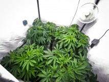 C1544A19-7960-44FE-86DC-6C64D329E9E7