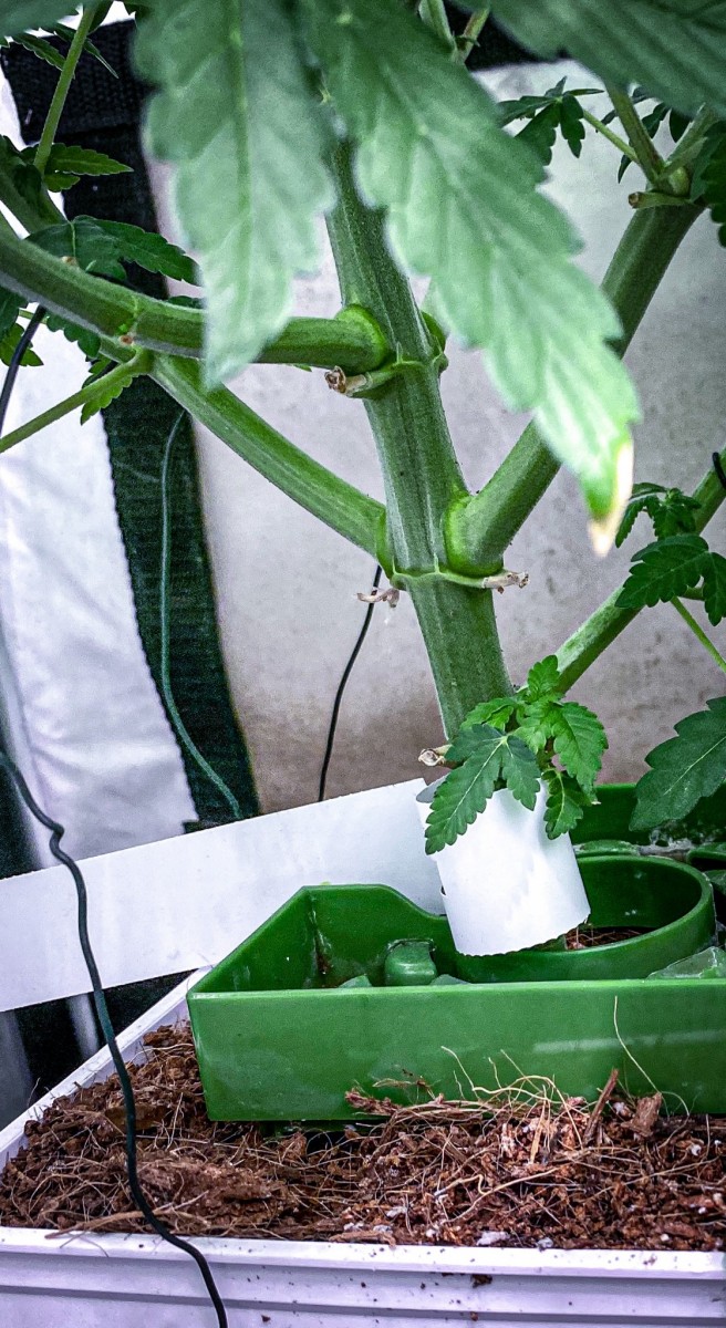 064A24DC-A097-430A-A5AA-3A6BF9691A24