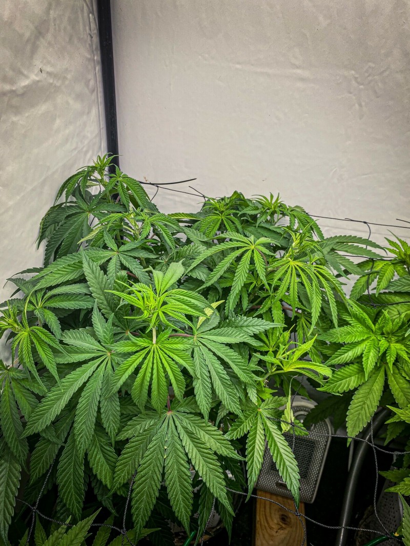 B7235E2B-9C09-493C-9E91-E1FFCC790CA4