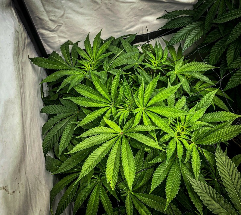 B3995803-017A-4398-9A8D-23AA1933D5F1