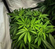 B3995803-017A-4398-9A8D-23AA1933D5F1