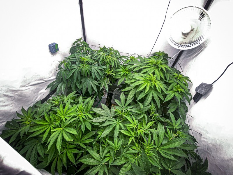 A62E8198-A917-4663-98FC-4F5D444DF466