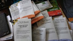 obscura1643640908594