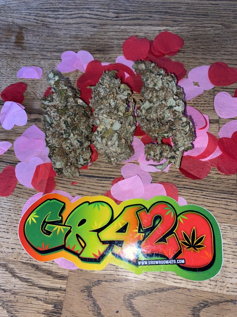 3E87FCBF-389D-4320-A01F-47E6EFAAB111