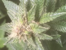 3E7D1859-830A-4B85-8468-EA9E38080718