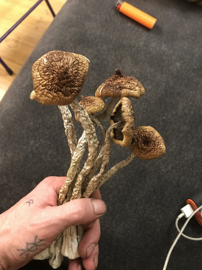 7F0A3168-9063-4003-958A-8396937A34F8