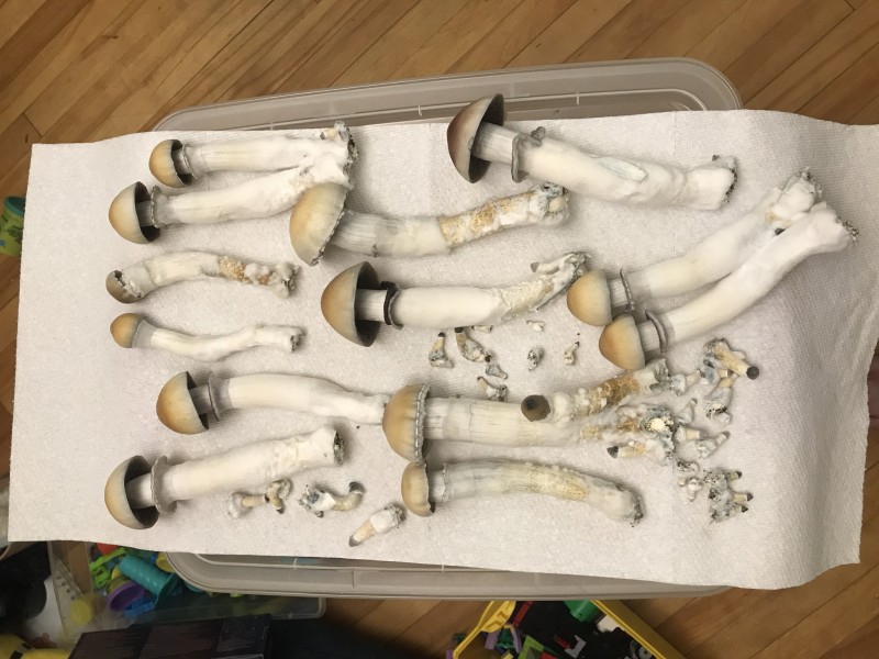 0E5E69ED-4D29-4044-B5B3-1F1FA72DBD03