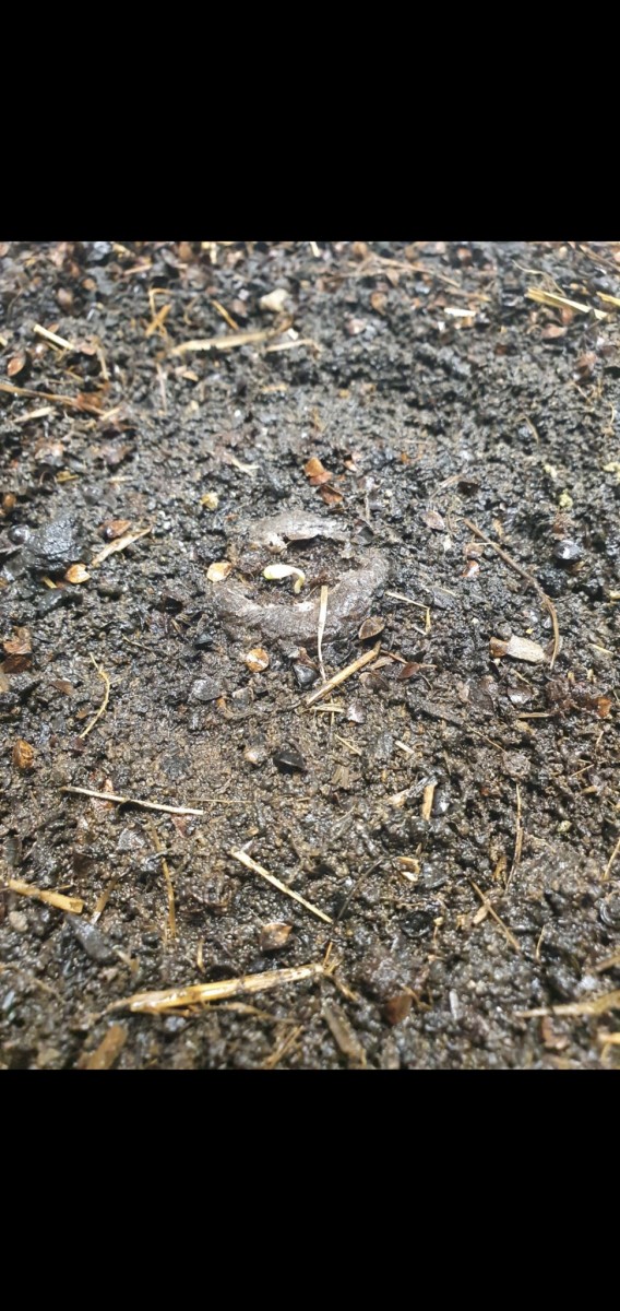 Screenshot_20220202-091546_Gallery