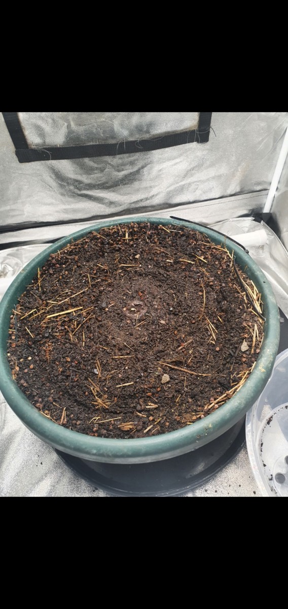 Screenshot_20220202-091540_Gallery