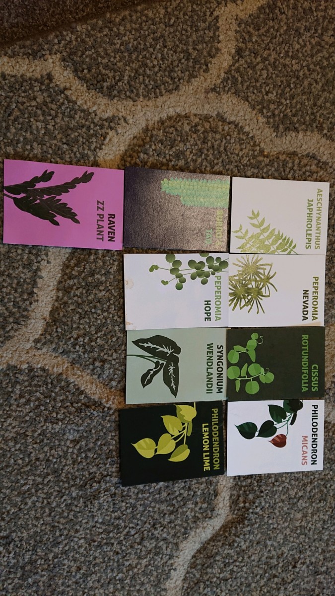 obscura1643820536666