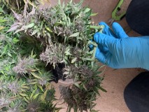 B413D22B-785B-40E1-8B85-8F2010F4F1EC