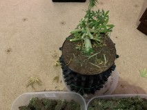 C7BF9DC4-3A43-42EF-9694-190BE67A712C