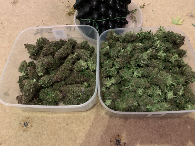 B3A23E45-C0F0-44DD-8F6B-F1BDB6533F94