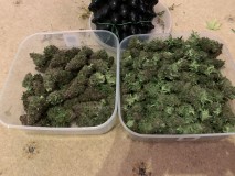 B3A23E45-C0F0-44DD-8F6B-F1BDB6533F94