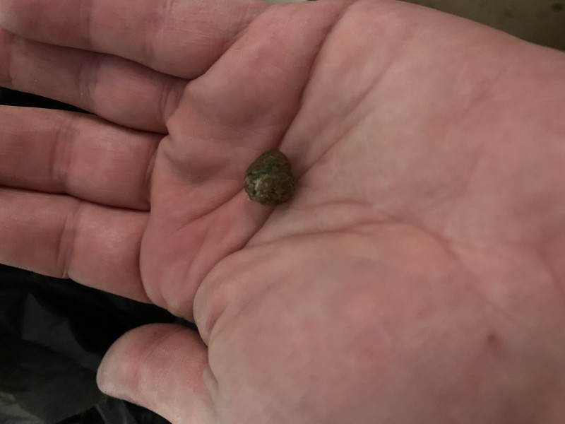 C75E9F3D-2FCC-42BB-B4AB-AA05B40459B0