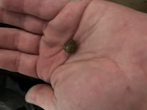 C75E9F3D-2FCC-42BB-B4AB-AA05B40459B0