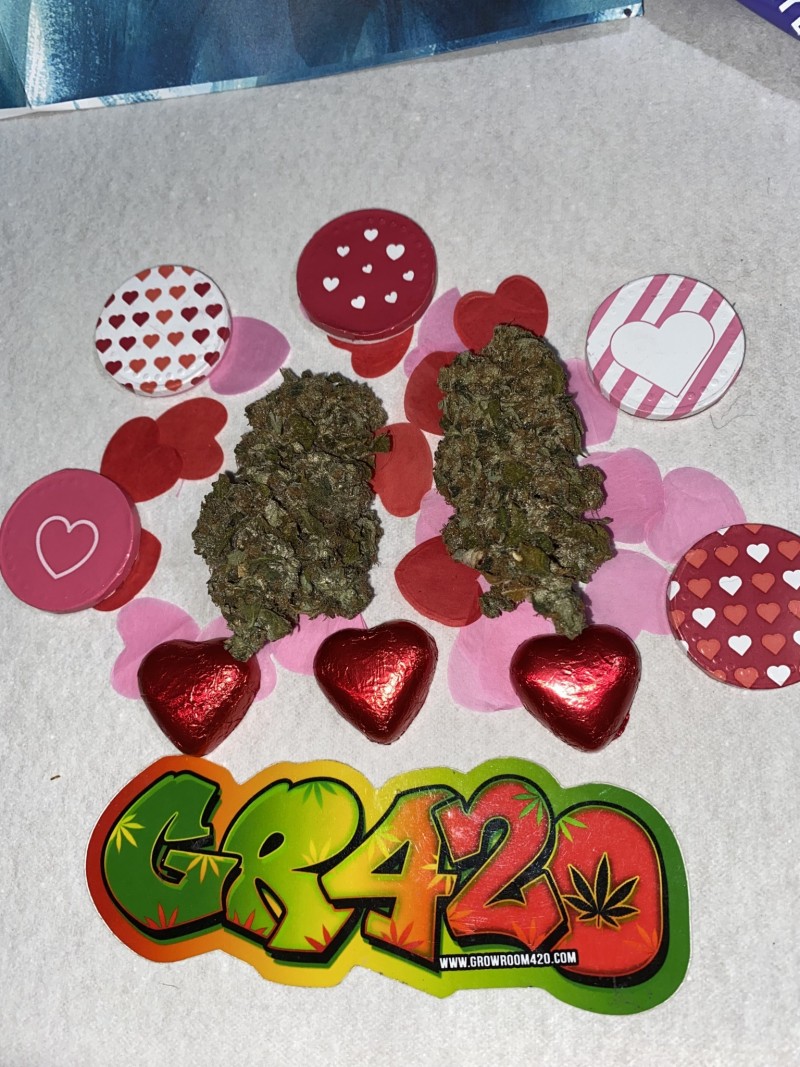 0489F3C4-2841-4869-8D45-43D21ED245B1