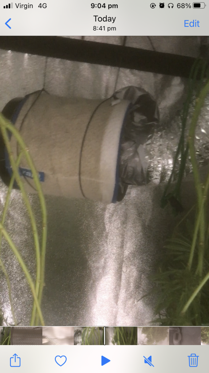 B5158FBA-8026-4935-AD1E-9706F285D1EB