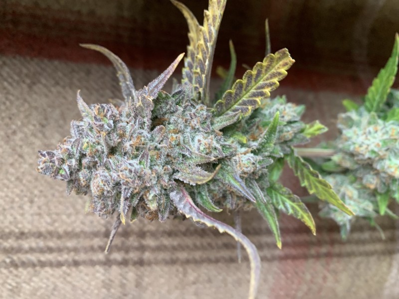 FBB87743-7D33-47DC-9174-7FF378C19538