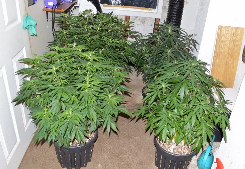 G13 Haze 01.02 (1) (800x552)