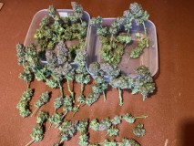 838D4341-15C8-4C15-9D0E-EEC6BD7E5DE9